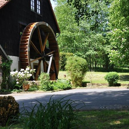 Vielbrunn Landgasthof Geiersmuehle מראה חיצוני תמונה